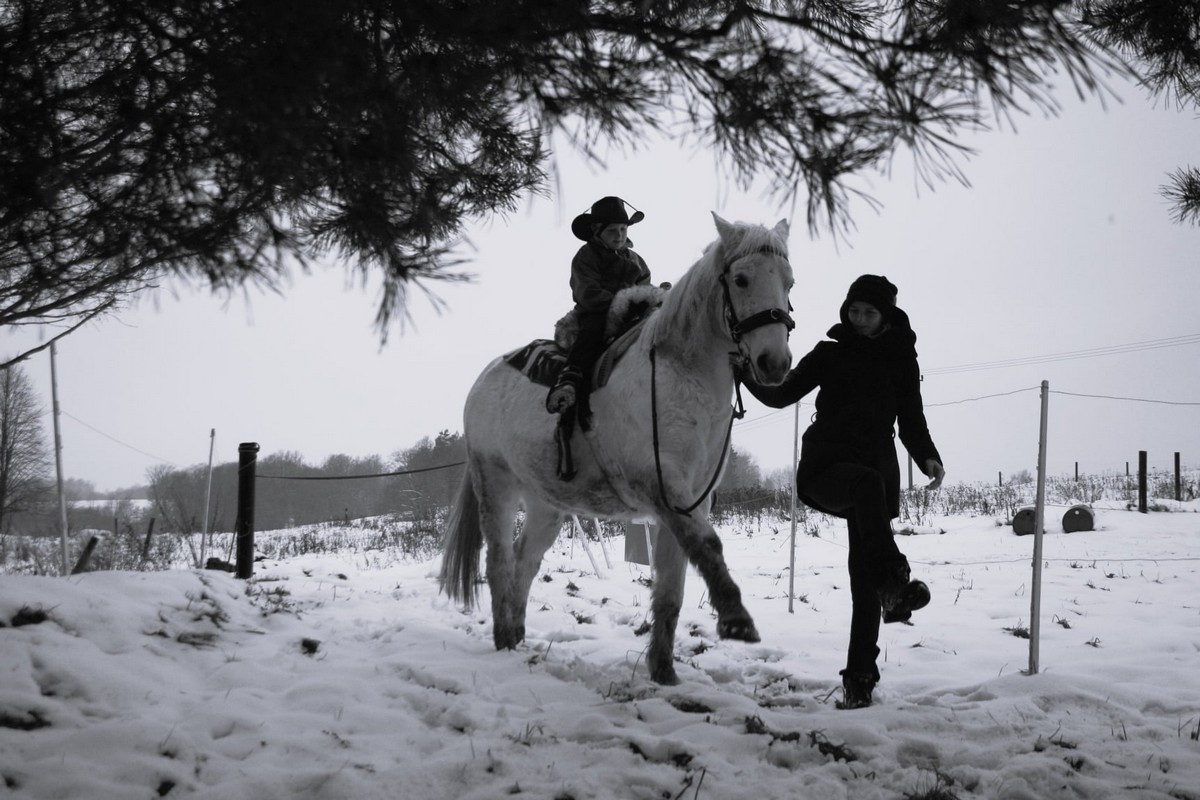 Kůň s jezdcem a doprovodem v zimě