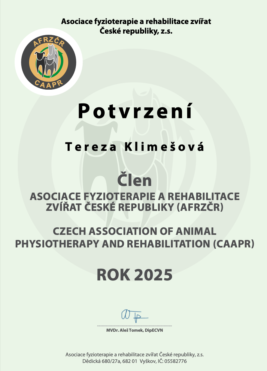 Digitální certifikace - Vystaveno online • 03.03.2025